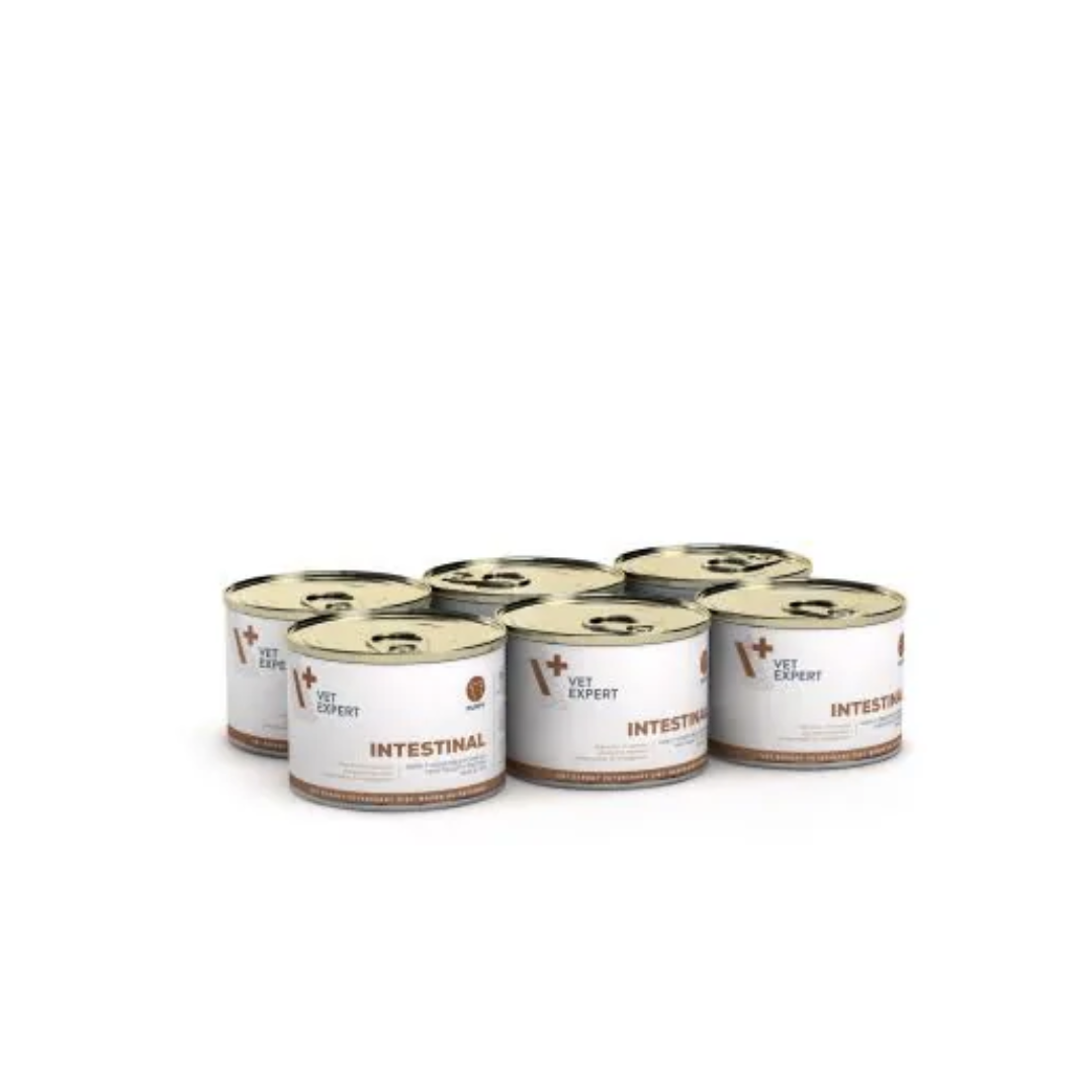 Vet Expert - 幼犬腸胃處方濕糧 200G x 6罐