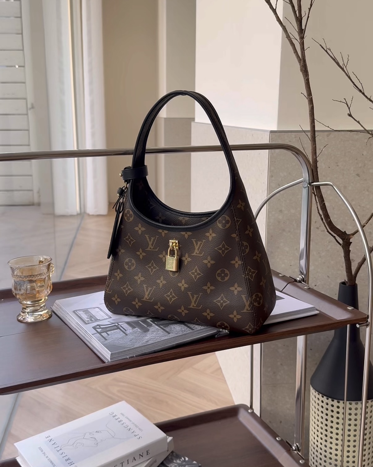 LV｜THE DROP PM 腋下包 棕色老花 M12940