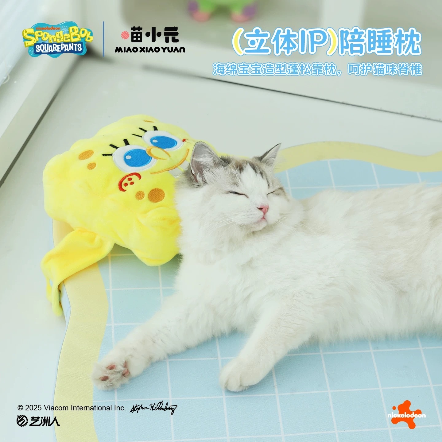 海绵宝宝 宠物海绵垫 可拆洗