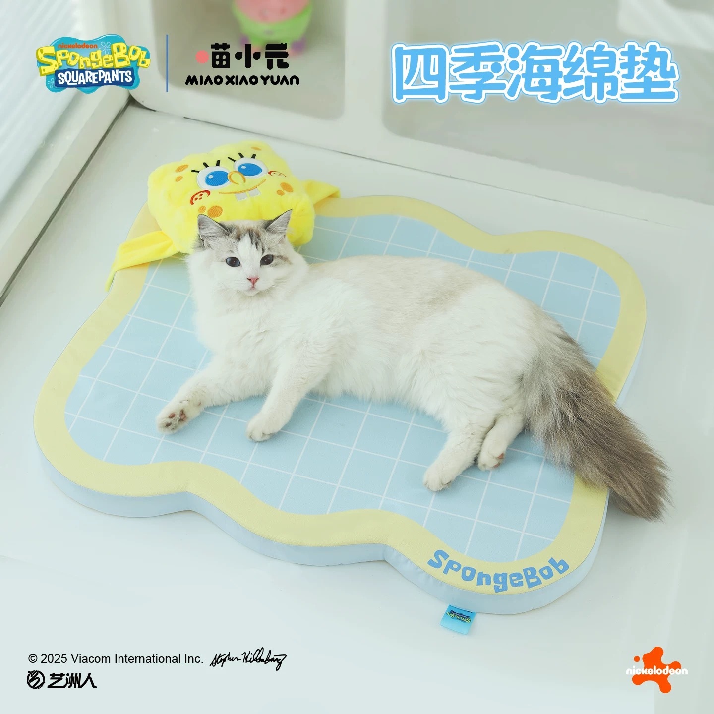 海绵宝宝 宠物海绵垫 可拆洗