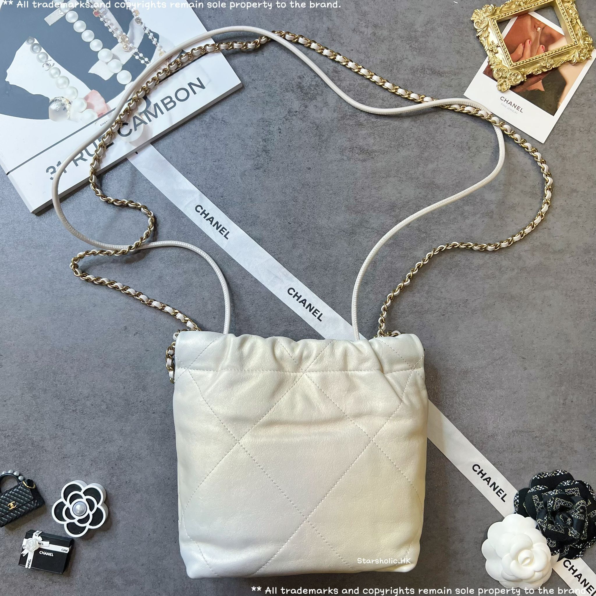 CHANEL Mini 22 Bag