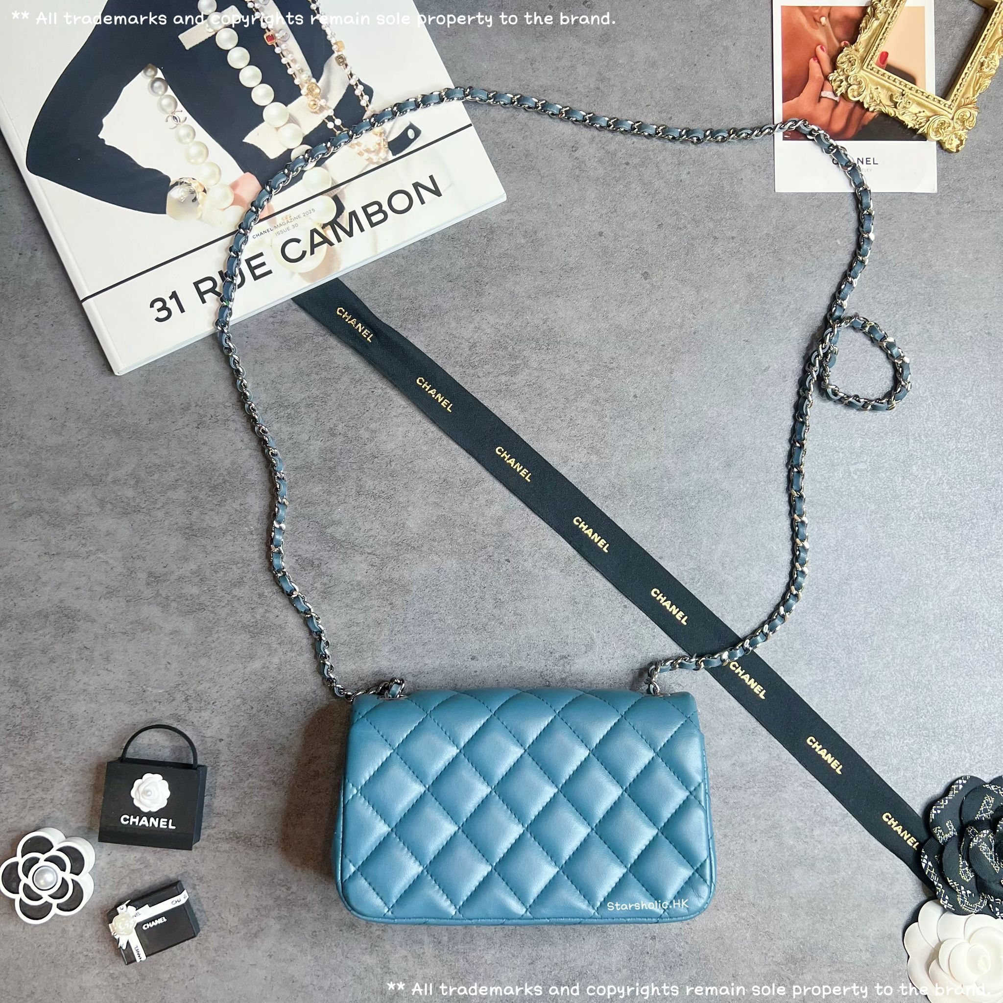 CHANEL Seasonal 18cm Flap Bag