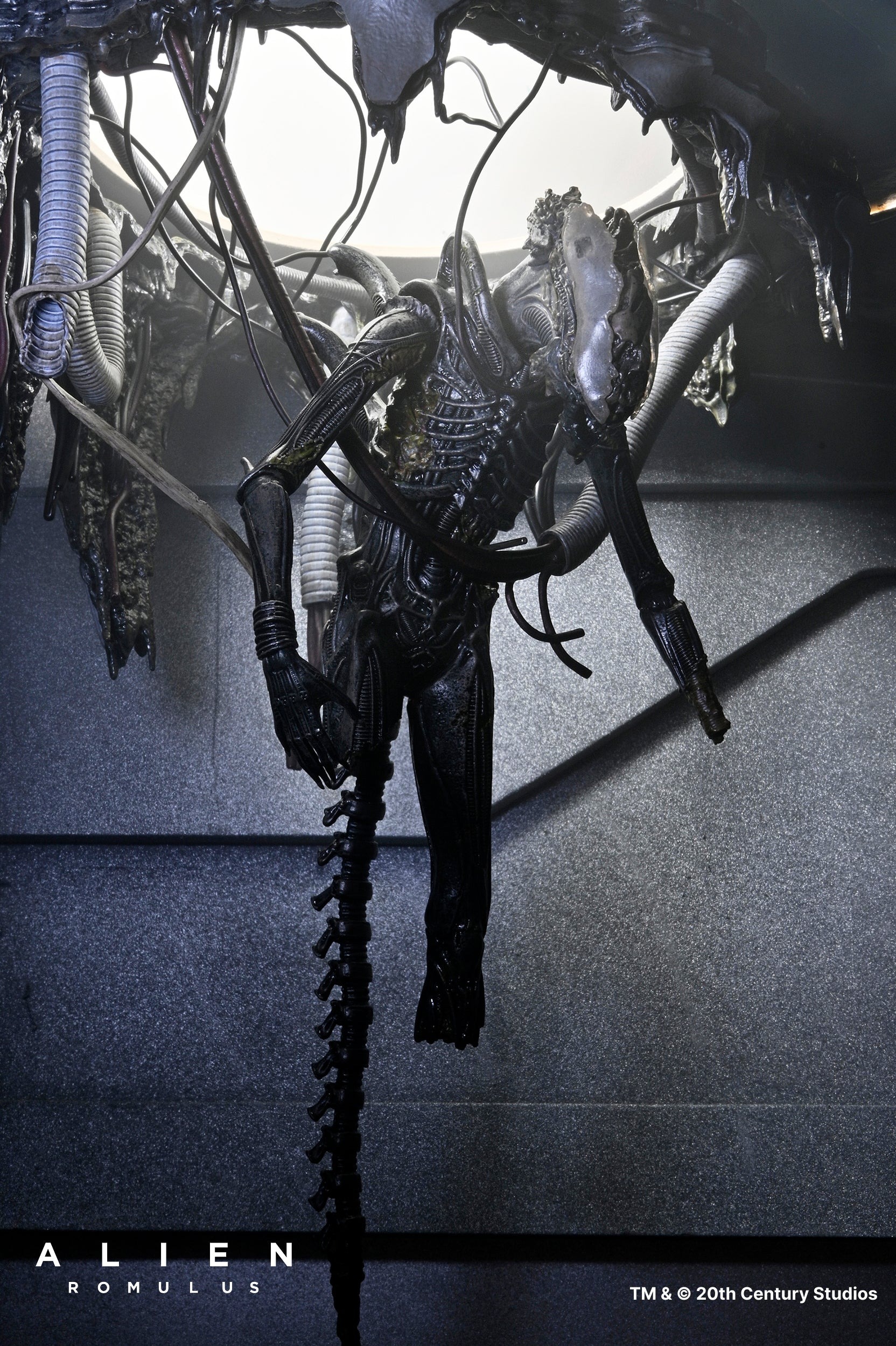 NECA Alien: Romulus - 7" Scale Action Figure - Deluxe Suspended Lab Xenomorph XX121 (現貨)