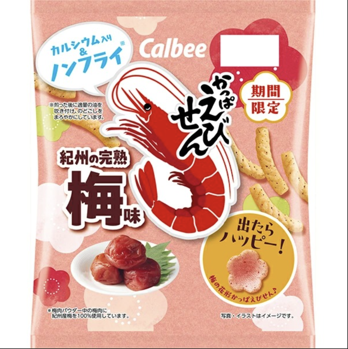 【直播】LX013044 Ebisen 紀州熟梅味 64g (1套2包)