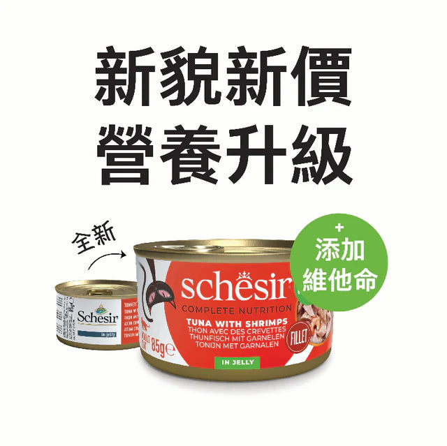 Schesir -啫喱主食罐系列- 吞拿魚鮮蝦飯 Tuna with Shrimps in Jelly 85g (每24罐@$14.5, 48罐@$14可混其他同價Schesir罐)