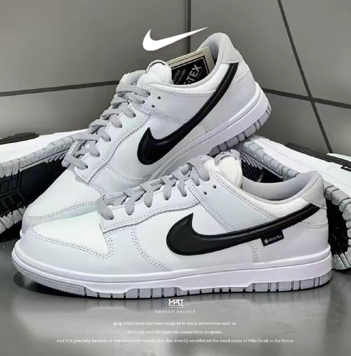Nike Dunk Gore-Tex "Smoke Grey" GTX 防水 小狼灰 淺灰白 煙灰 HQ2053-100
