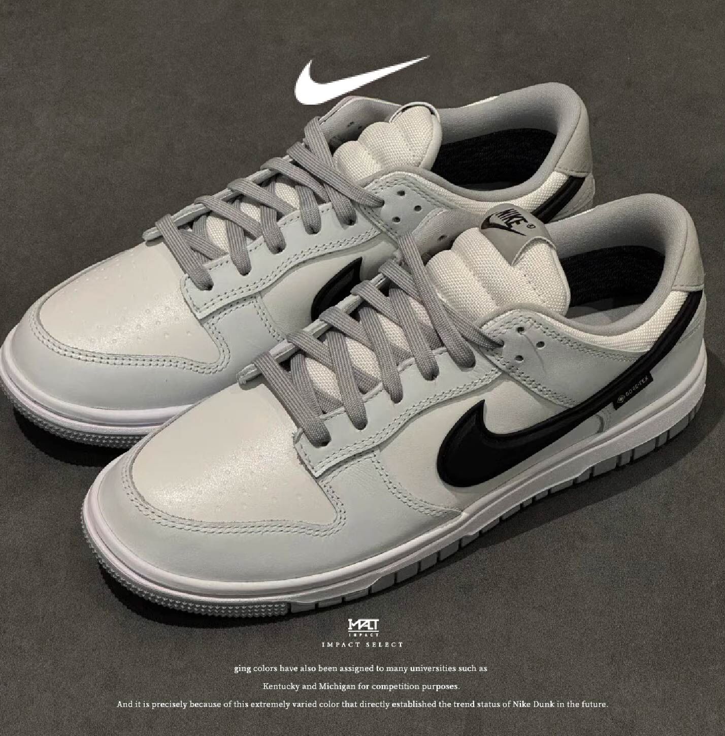 Nike Dunk Gore-Tex "Smoke Grey" GTX 防水 小狼灰 淺灰白 煙灰 HQ2053-100