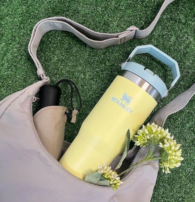 【預購】Stanley The IceFlow Flip Straw H013050 水樽30oz （Pomelo）