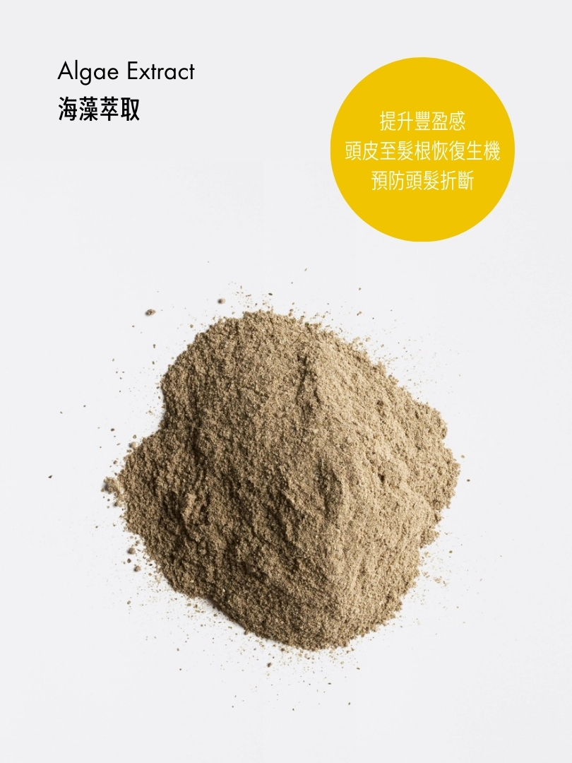 豐盈強韌洗髮露