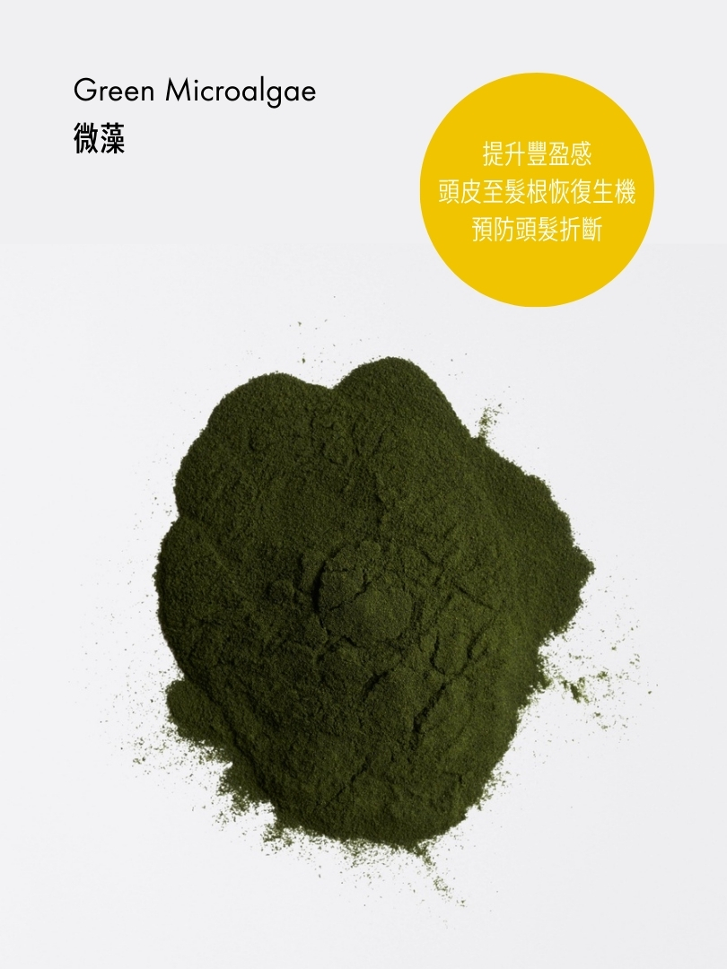 豐盈無重護髮素