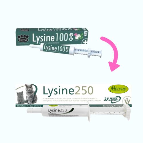 [升級版新包裝] Mervue - Lysine 250 貓用補充劑 30ml (貓感冒終結者, 增強免疫力)