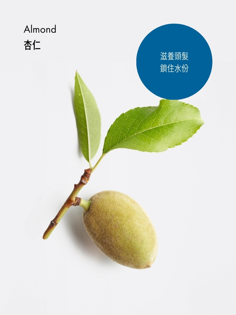 防毛躁順滑洗髮露