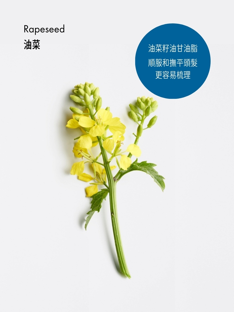 防毛躁順滑護髮素