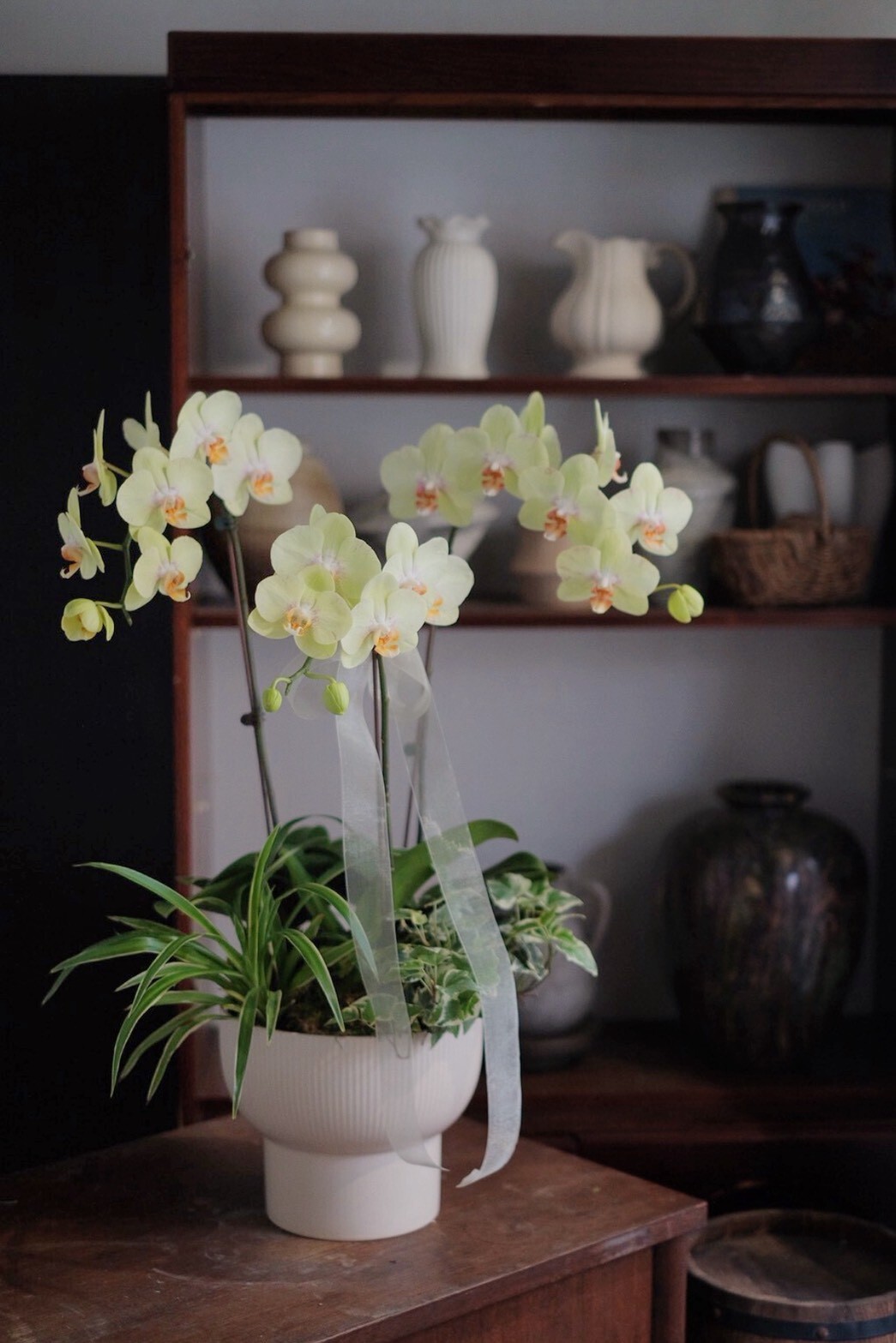 盛｜慢式蘭花（Ｌ）