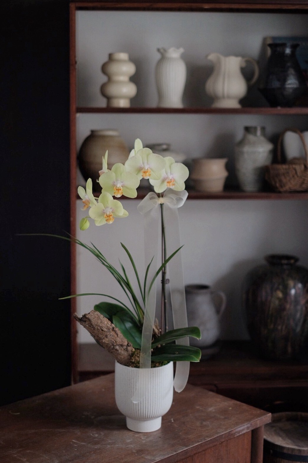 簡｜慢式蘭花（Ｓ）