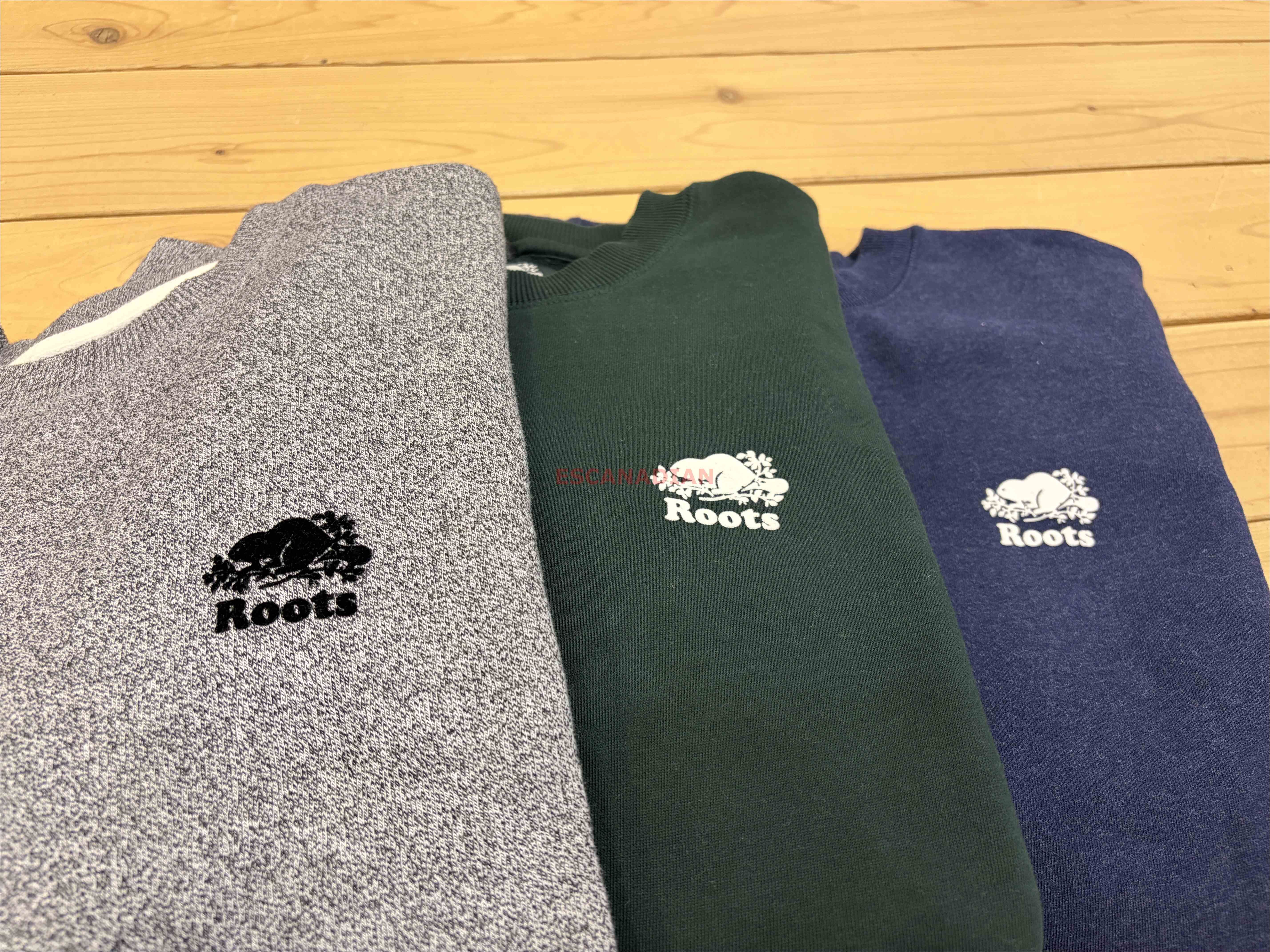 ROOTS 男大人 經典系列 落肩小寬版 刷毛 小海狸 大學TEE (3色)