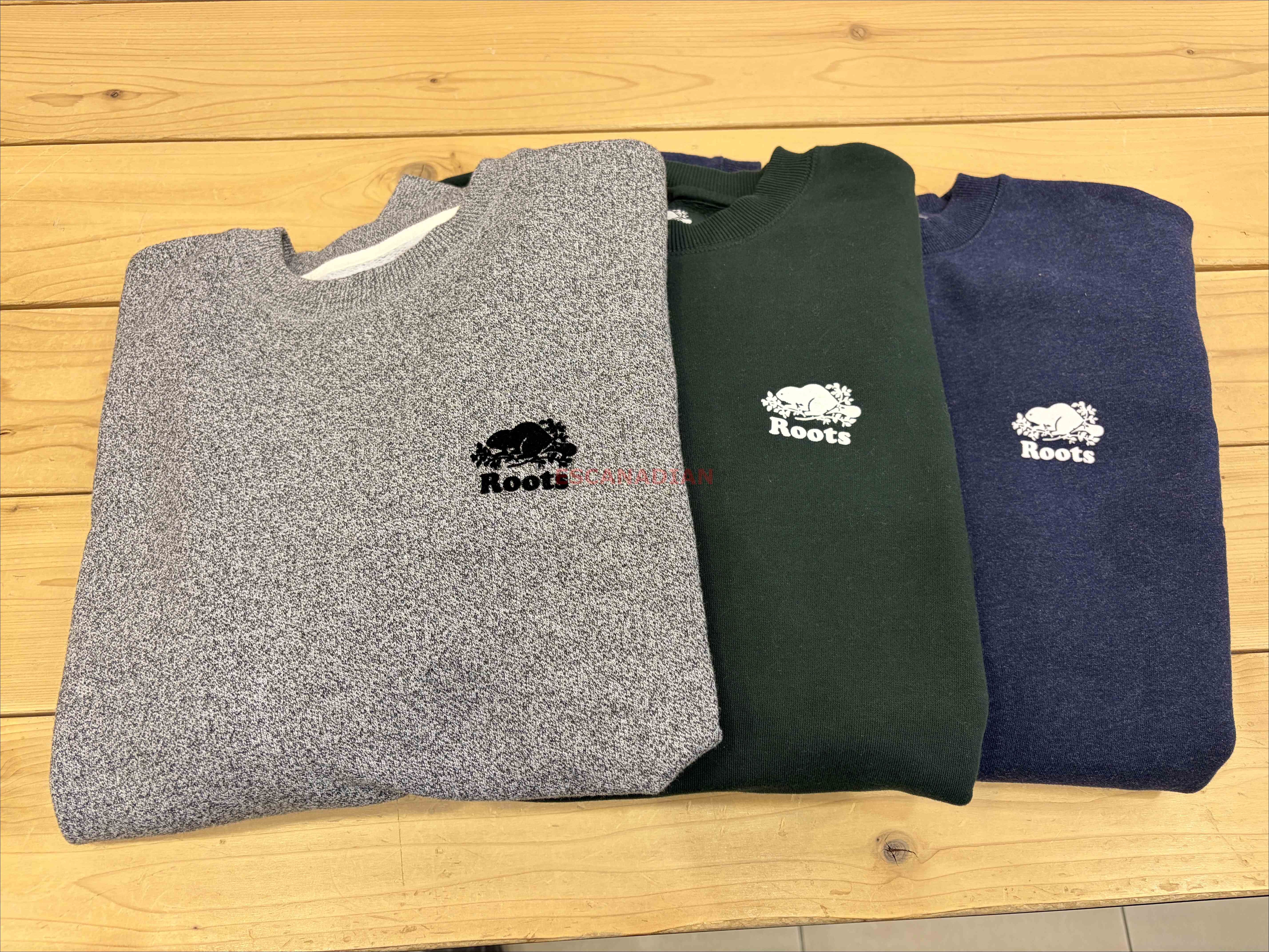 ROOTS 男大人 經典系列 落肩小寬版 刷毛 小海狸 大學TEE (3色)