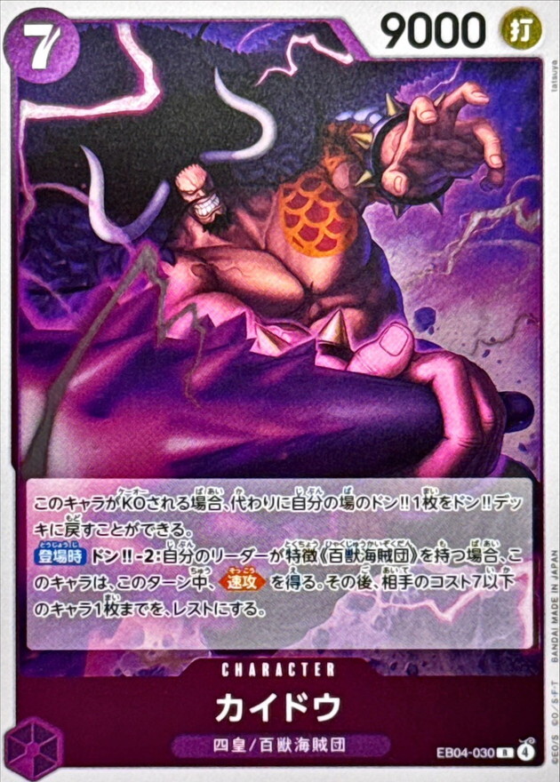 EB04-030 カイドウ (R)