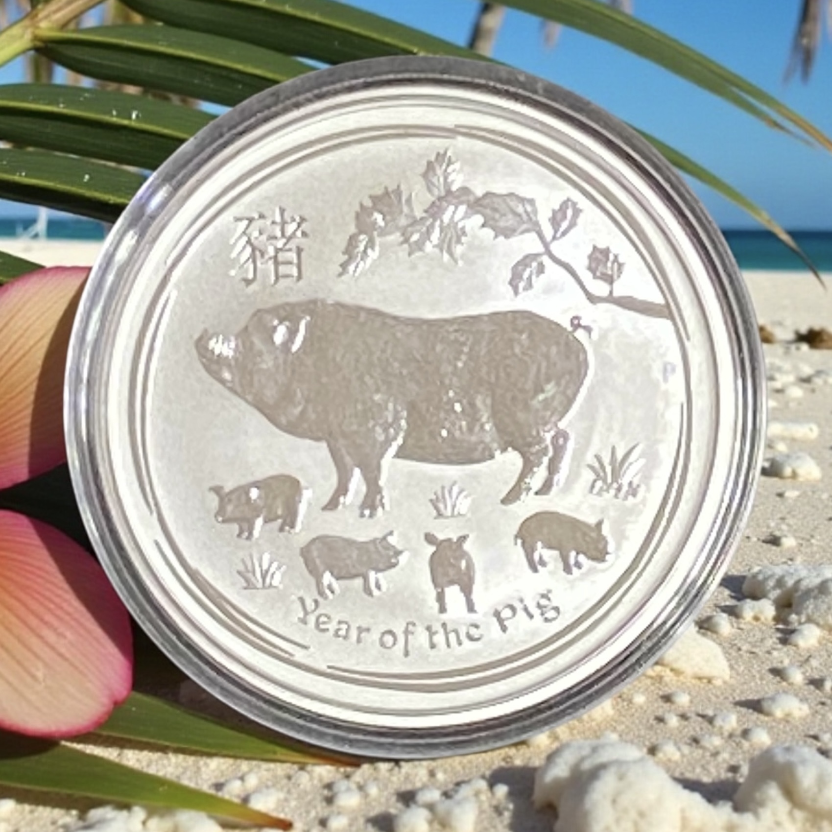 2019 Australian Year of the Pig 1 oz Silver Coin (Second Series) (9999 silver)