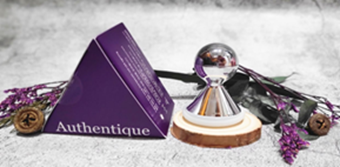 US118 Authentique 雪精靈迷你美容導入儀 大全套 (送一個刮痧板)