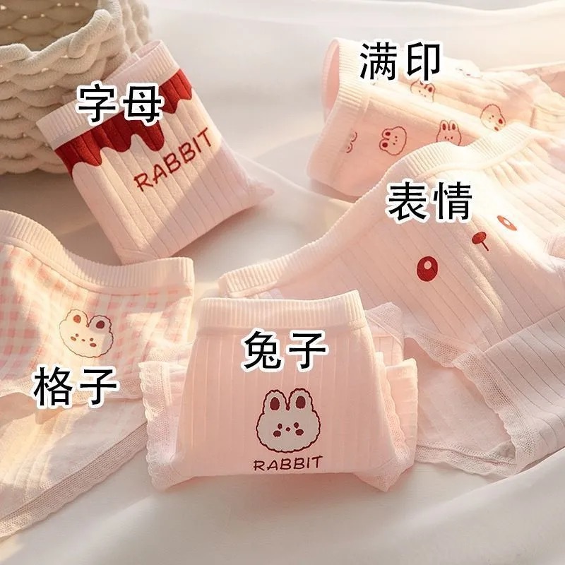 预购 秋冬款a类内裤女孩纯棉抗菌短裤女童学生全棉 5件