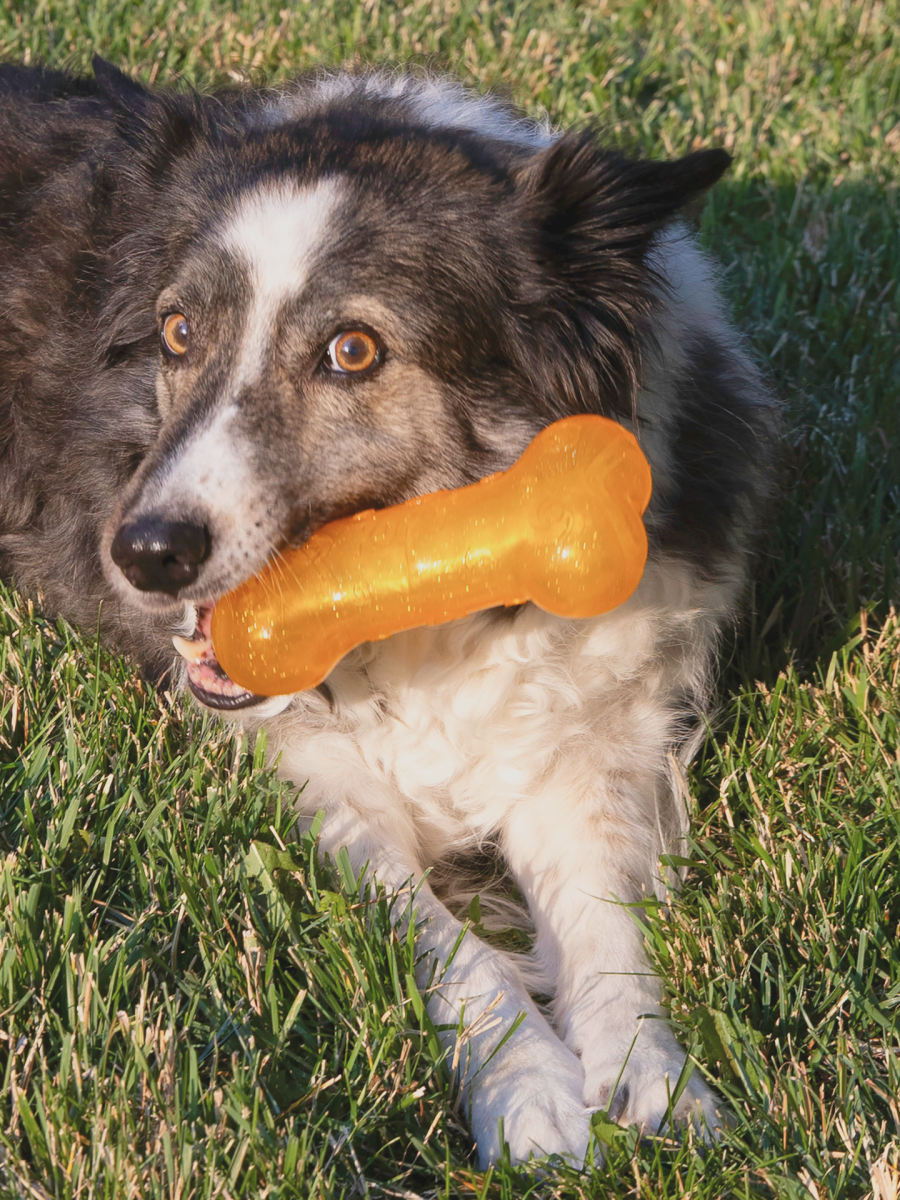 【KONG】果凍霹靂骨頭