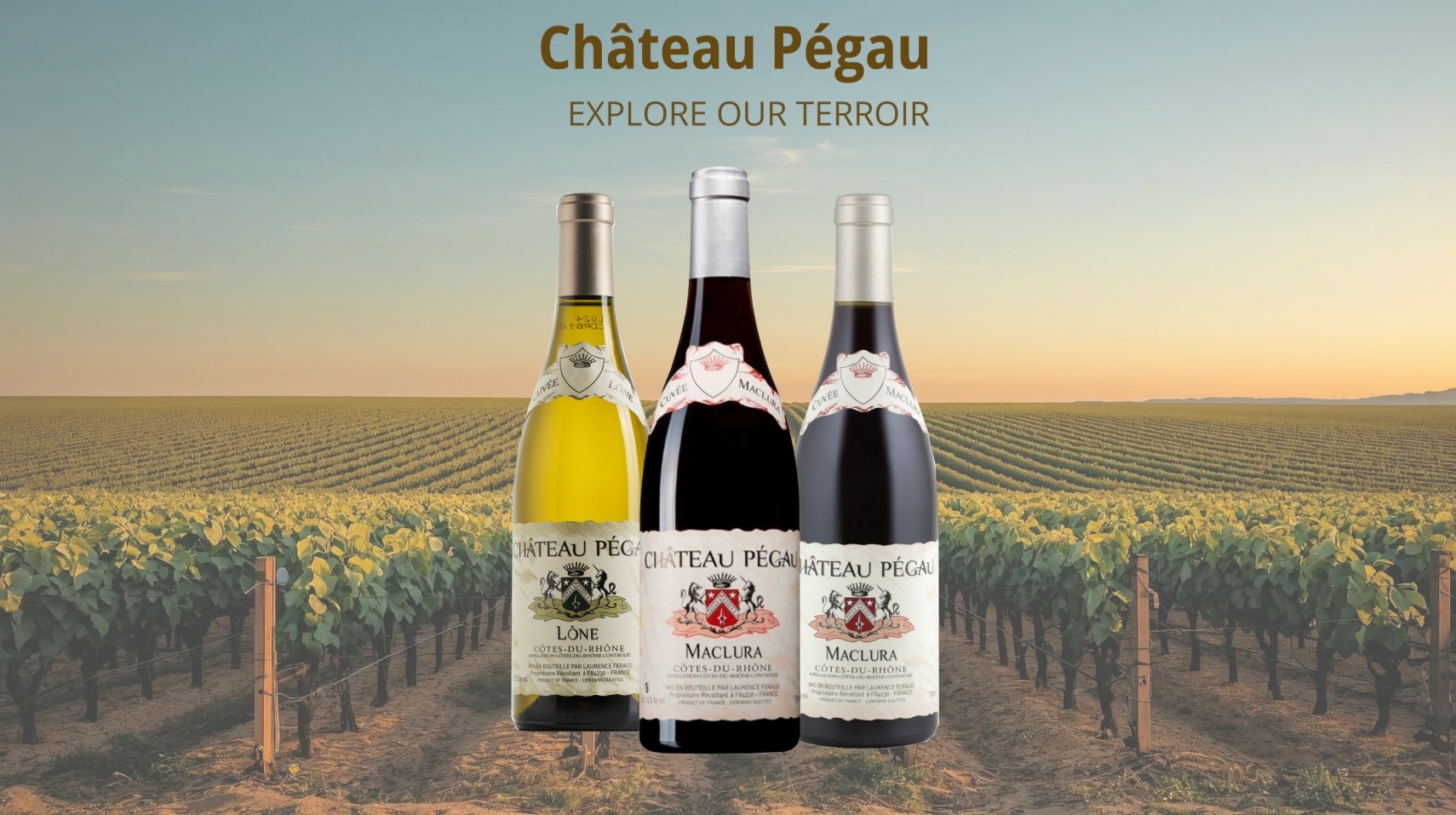 天響酒藏嚴選：LAFIEL 樂菲爾，傳遞歐洲莊園風土的頂級葡萄酒