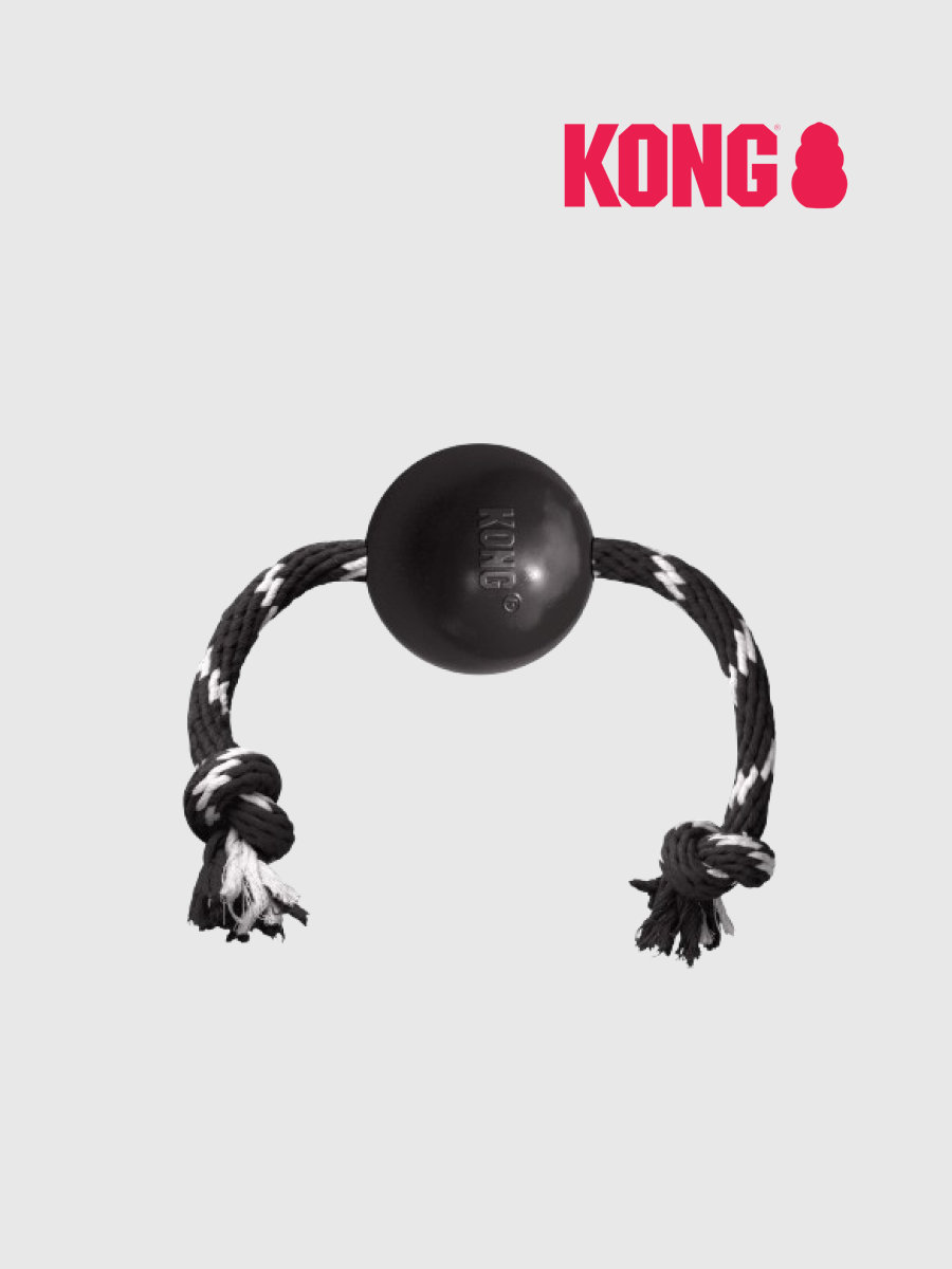 【KONG】帶繩拉扯耐咬黑球