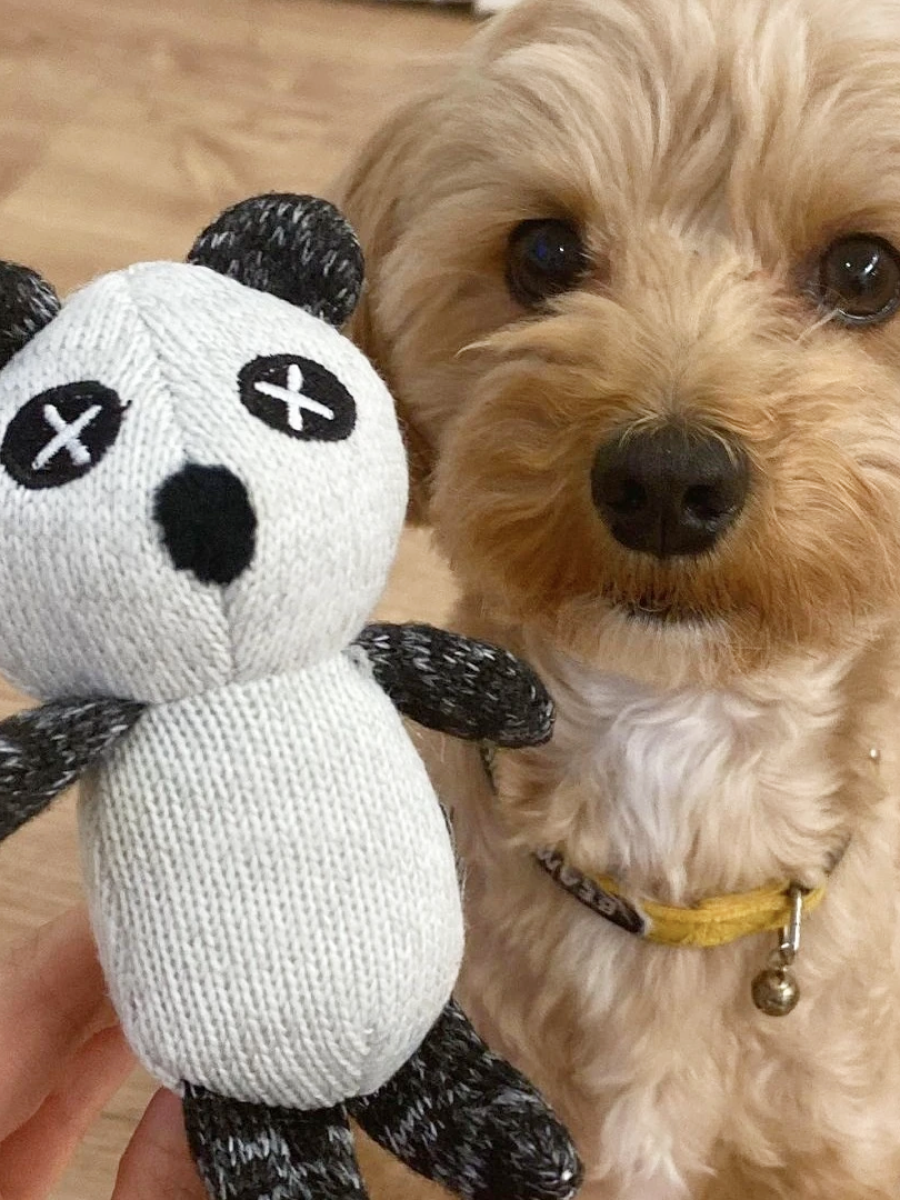 【日本FAD】汪汪熊貓｜狗狗無毒玩具