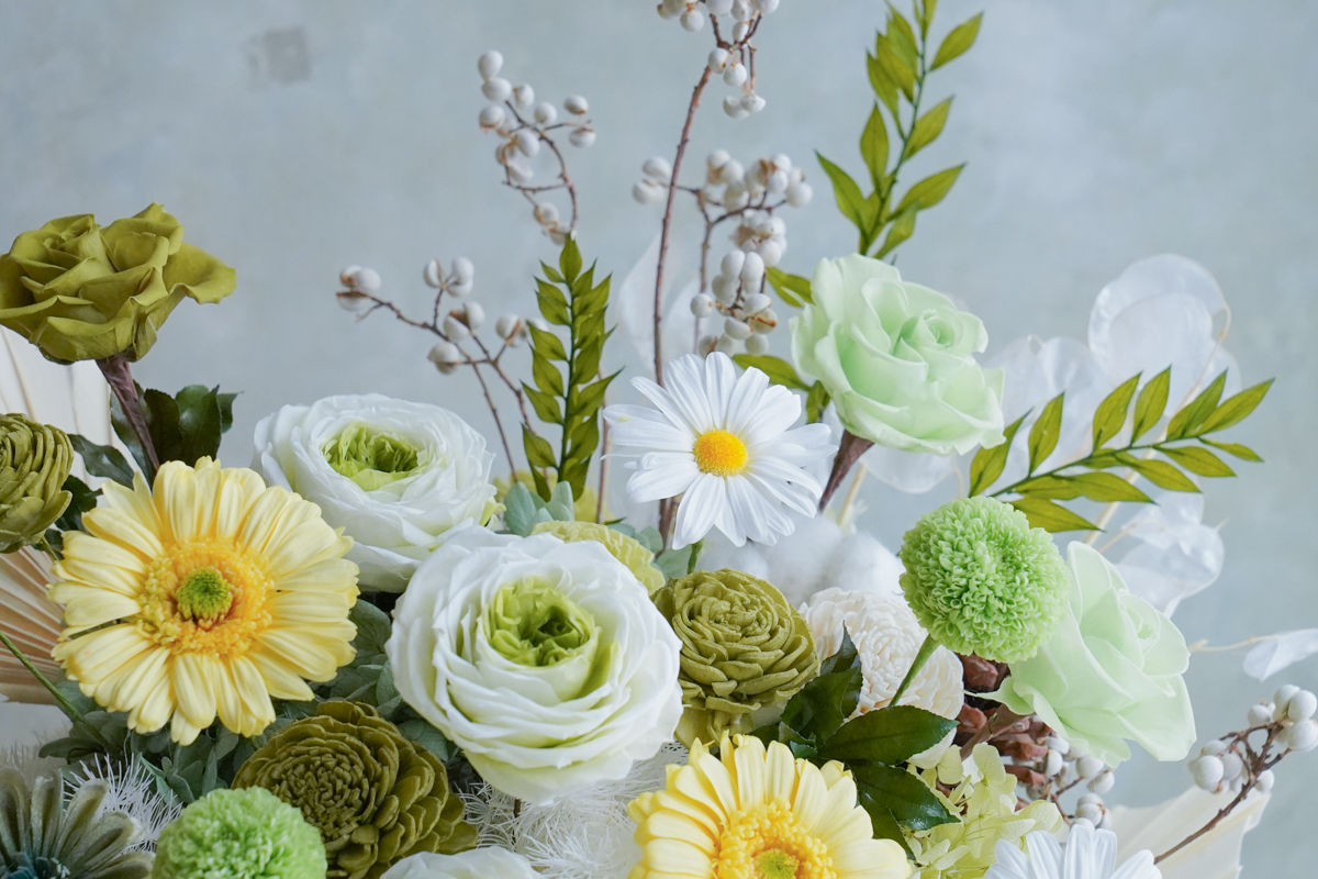 綠色永生花開幕盆栽,綠色永生花盆花,永生花升遷開幕盆花特123