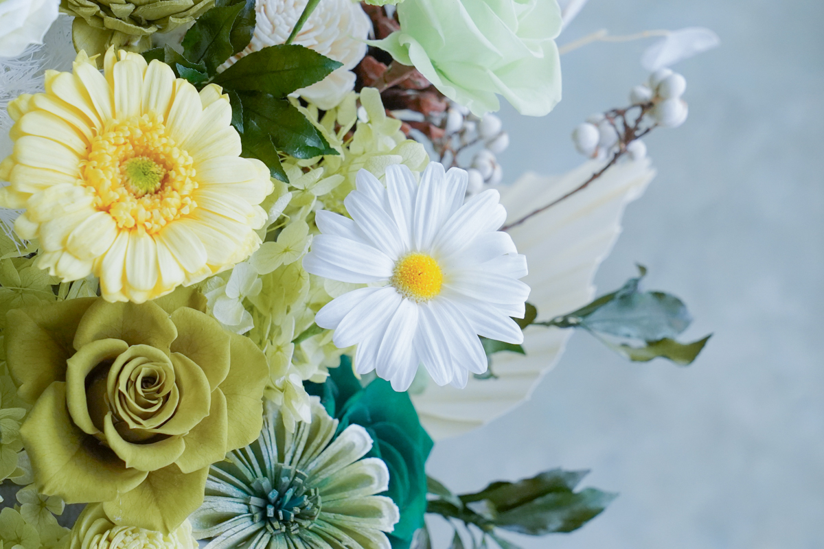 綠色永生花開幕盆栽,綠色永生花盆花,永生花升遷開幕盆花特12