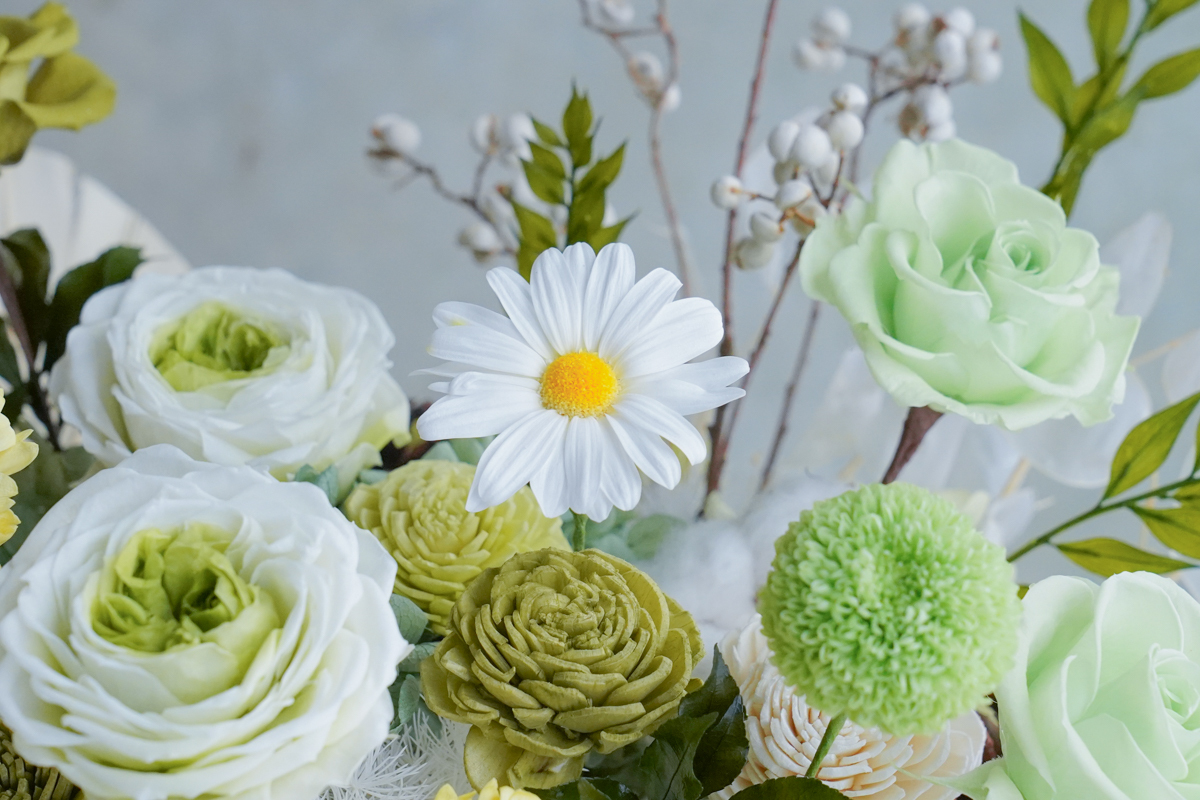 綠色永生花開幕盆栽,綠色永生花盆花,永生花升遷開幕盆花特123