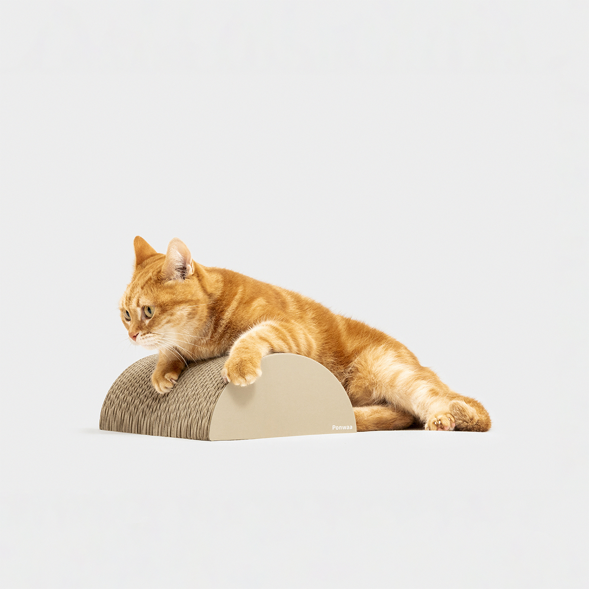 Ponwaa｜半圓靠枕