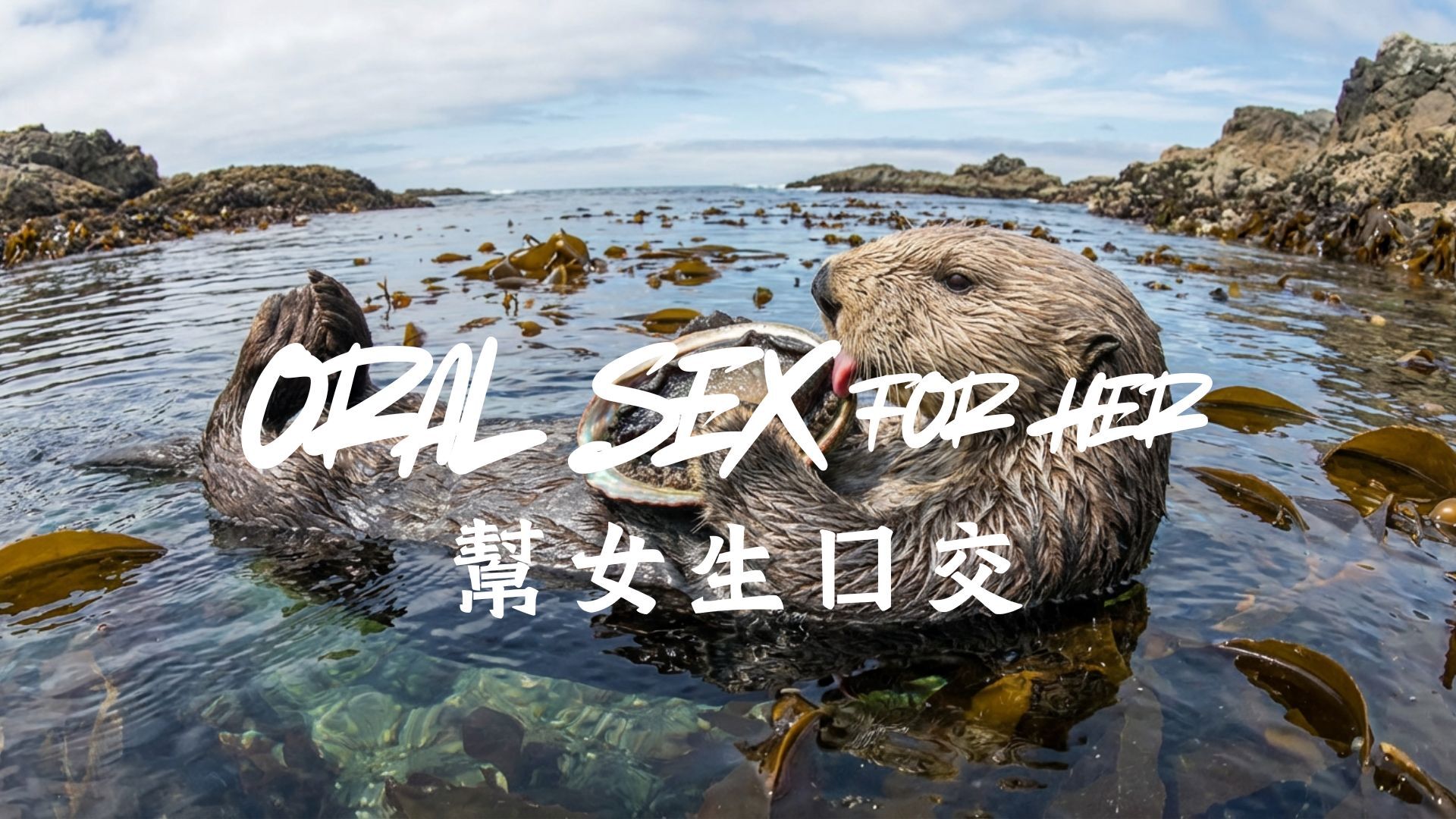 女生口交-舔閪-舔陰-女人口交-教學