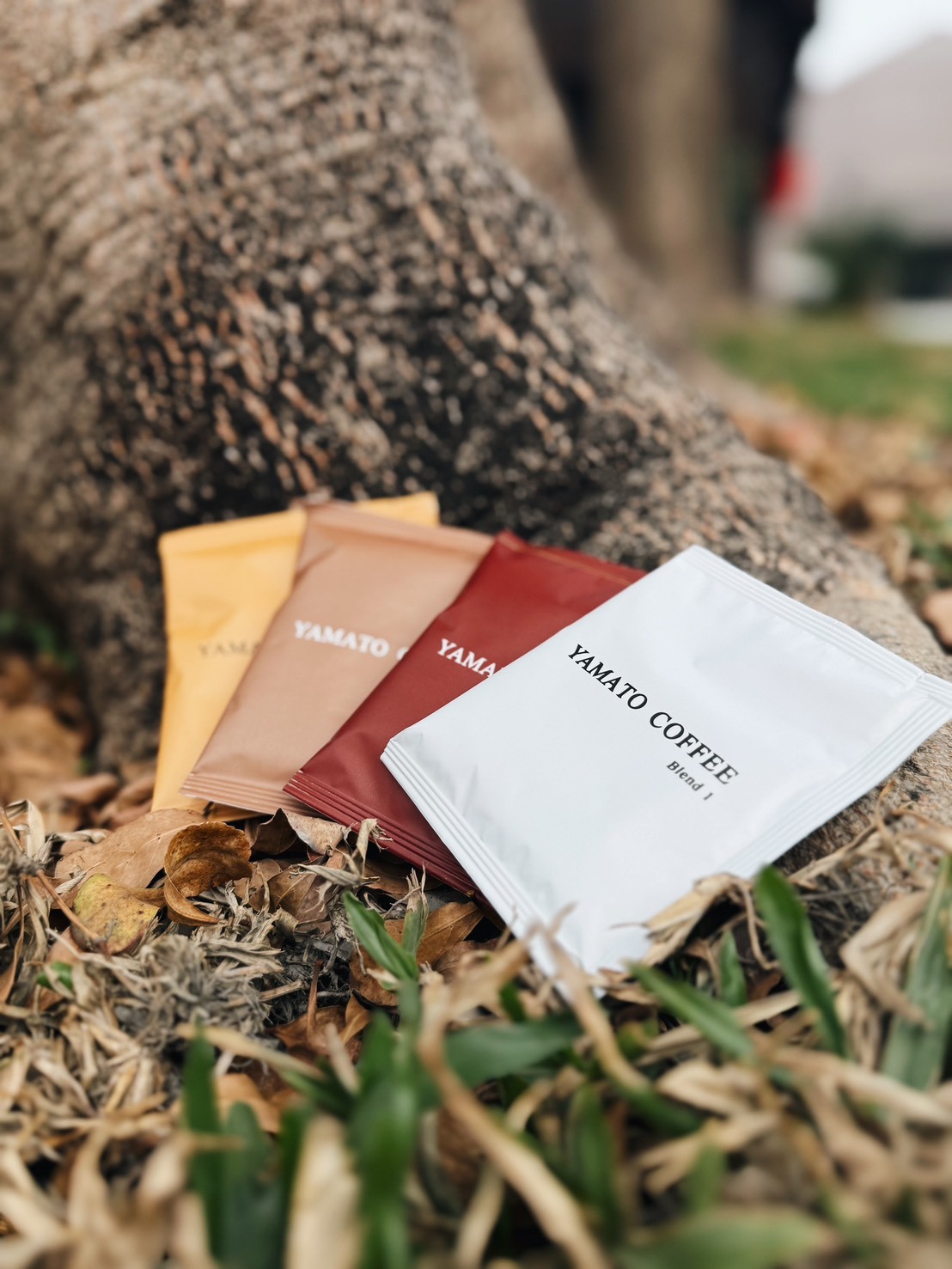 【新年限定】大和 - 掛耳福袋 50入