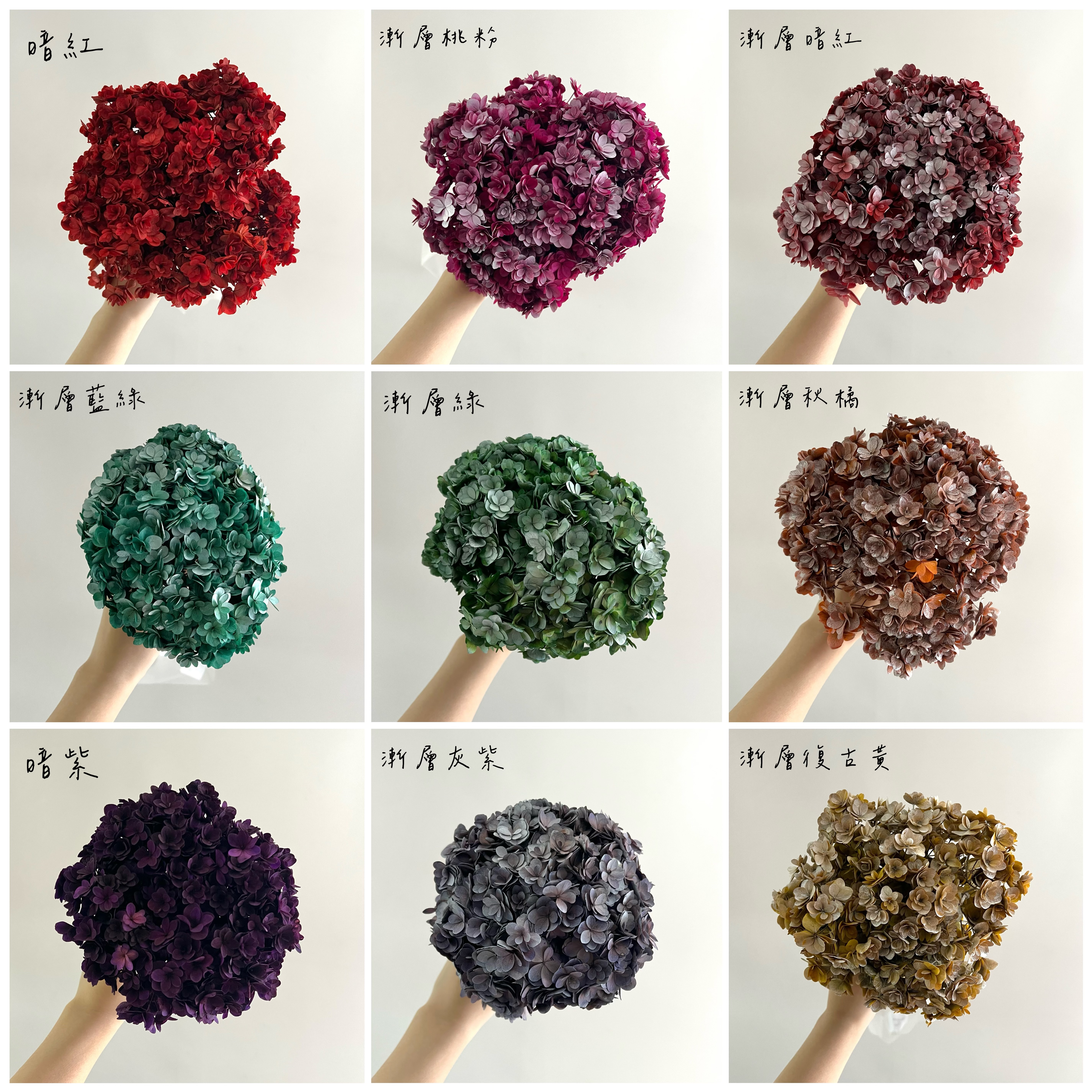 不凋重瓣繡球花(帶桿)