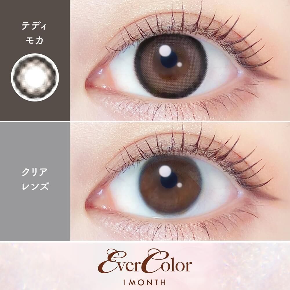 EverColor Monthly (Teddy Mocha)(2P)