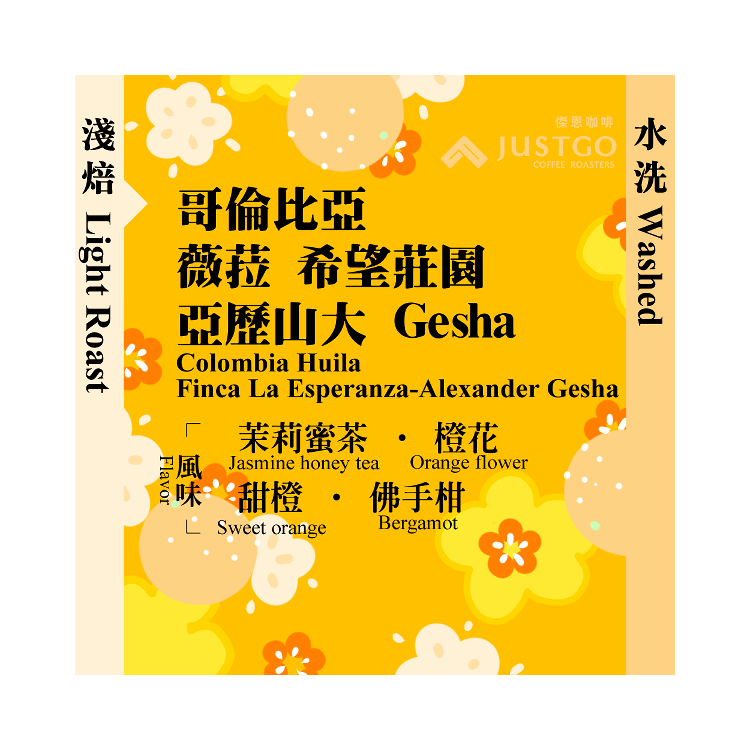 [掛耳包] 哥倫比亞 薇菈 希望莊園 亞歷山大 Gesha [水洗]