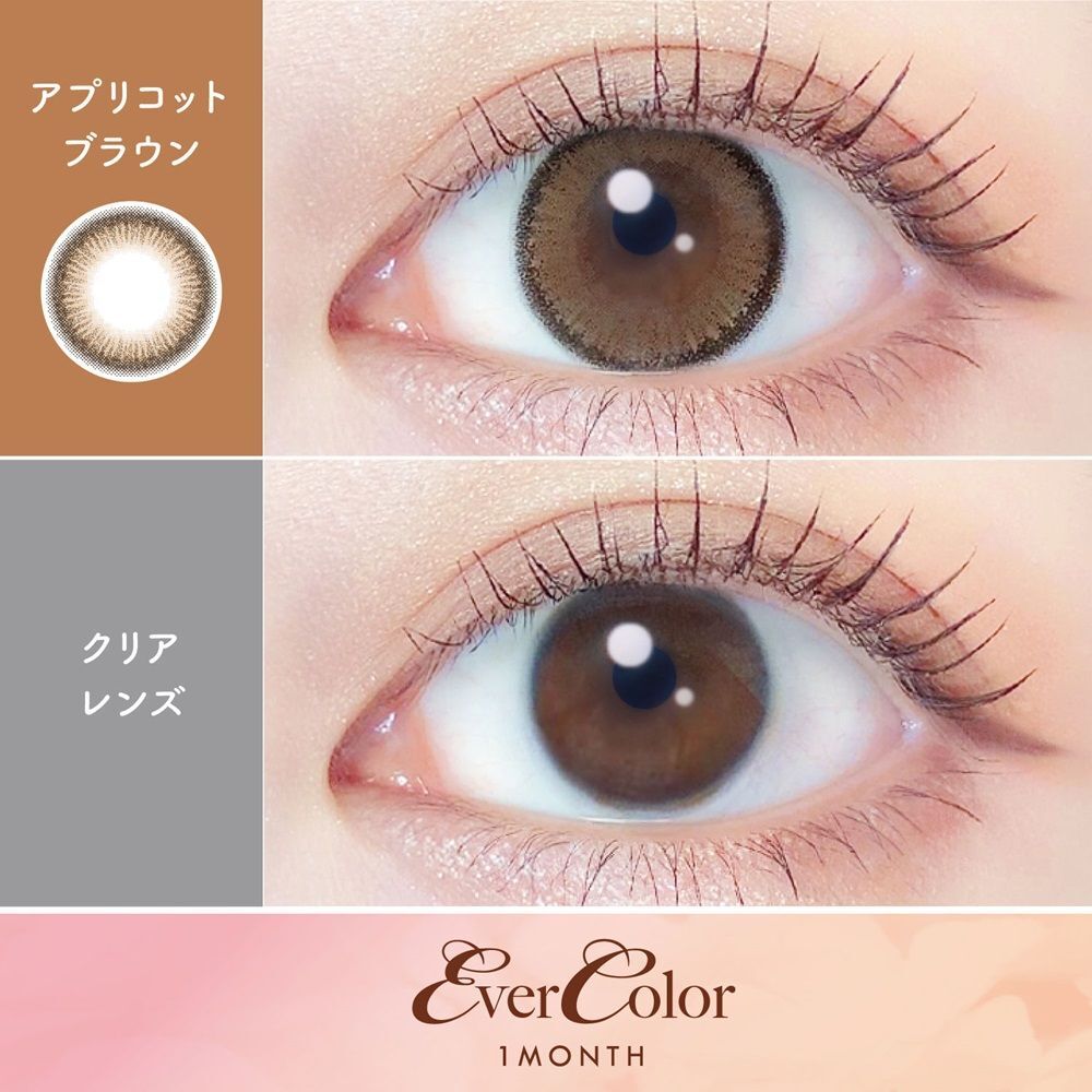 EverColor Monthly (Apricot Brown)(2P)