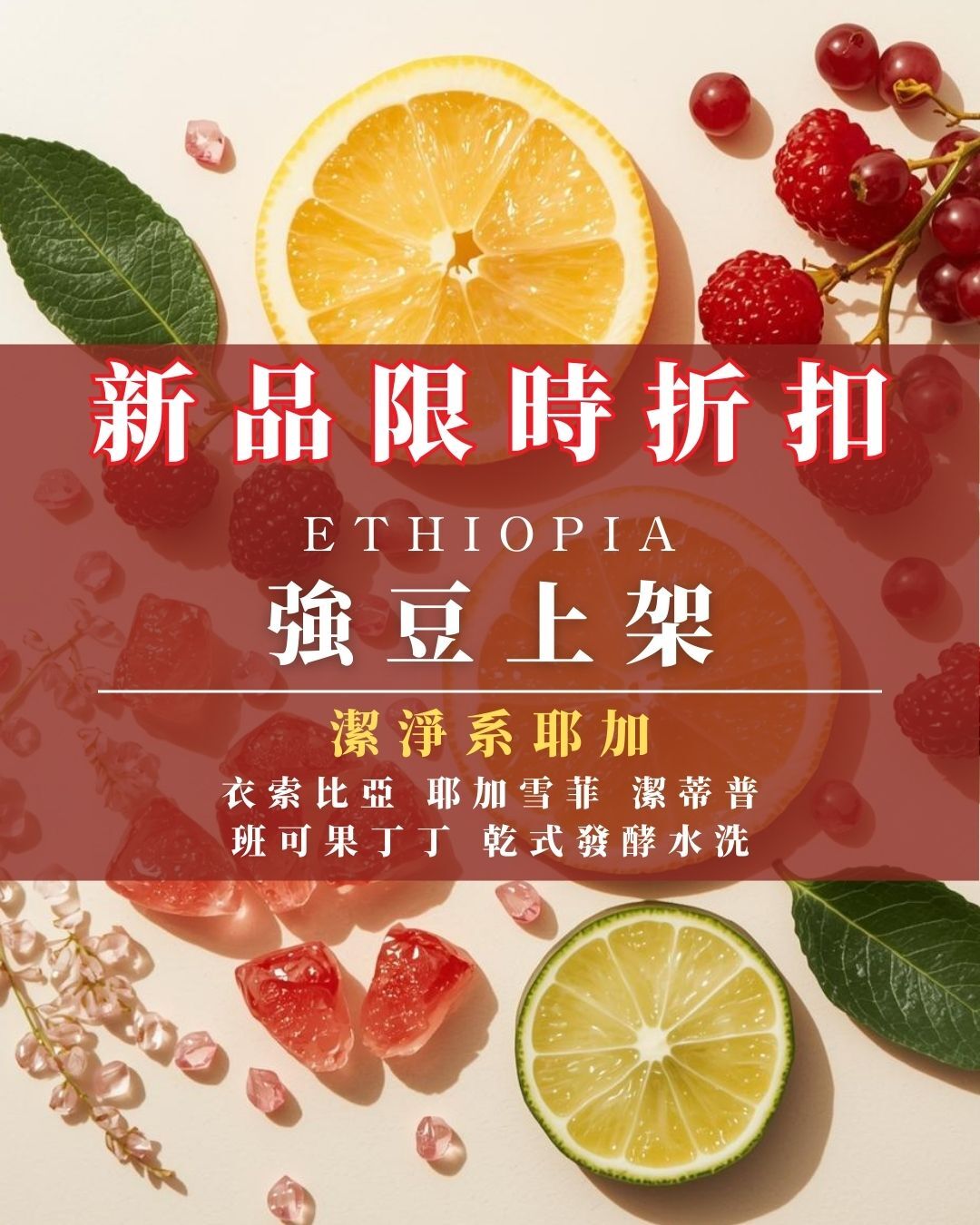 潔淨系耶加｜衣索比亞 耶加雪菲 潔蒂普 班可果丁丁 乾式發酵水洗﹙半磅裝／227g﹚