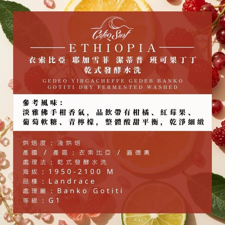 潔淨系耶加｜衣索比亞 耶加雪菲 潔蒂普 班可果丁丁 乾式發酵水洗﹙半磅裝／227g﹚