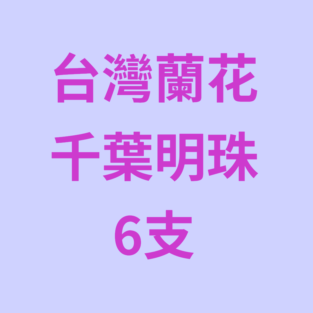 UJ041 台灣蘭花 千葉明珠 6菖