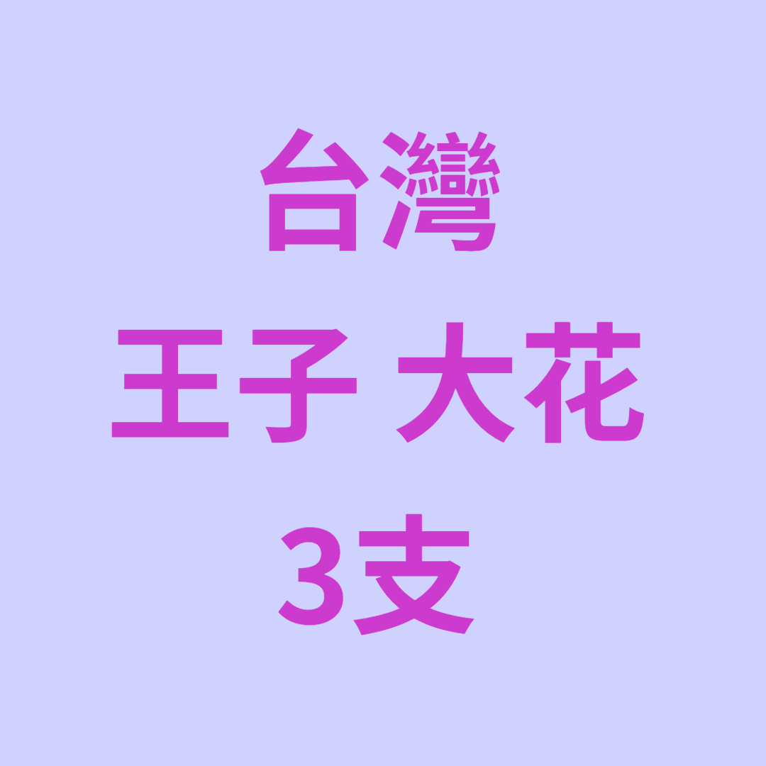 UJ042 台灣 王子 大花 3支