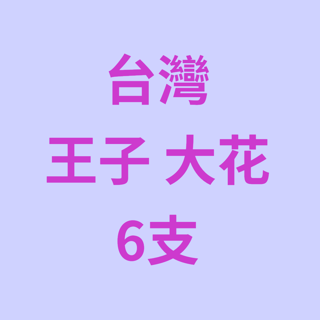 UJ043 台灣 王子 大花 6支