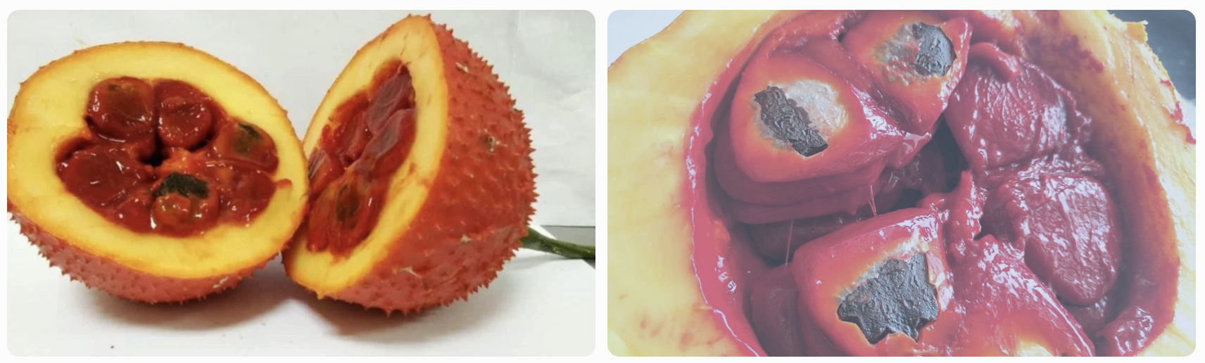 天堂果（Paradise Fruit / Gac Fruit）食譜推薦