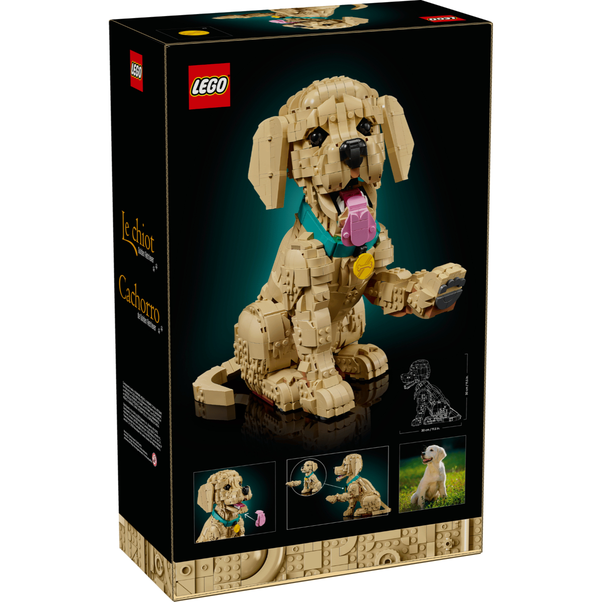 LEGO 11384 小黃金獵犬