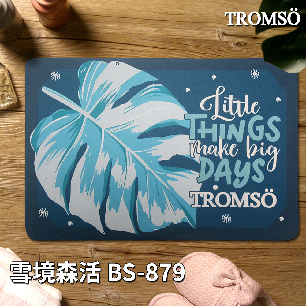 科技絨舒柔吸水地墊-雪境森活BS-879