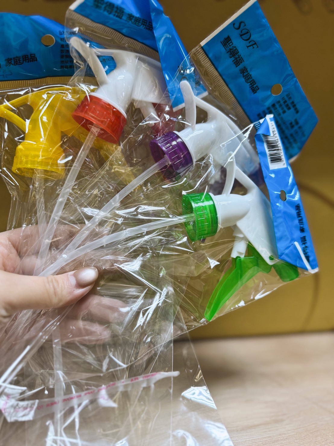 花蓮分會｜外出小安心組