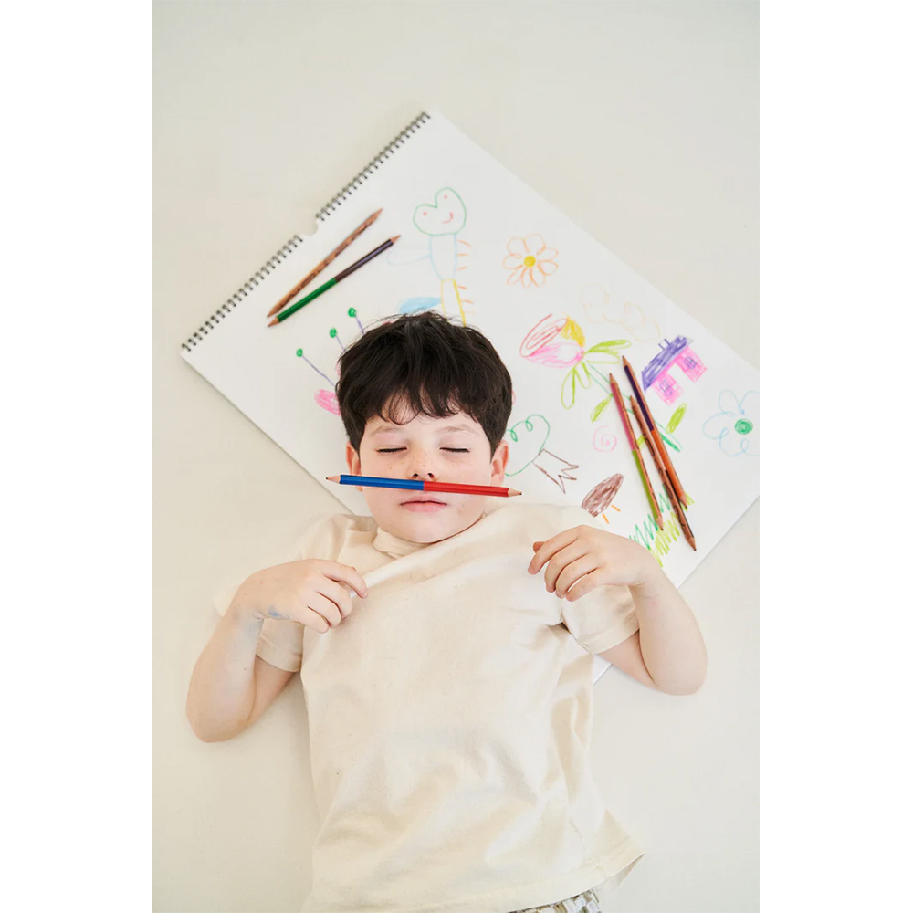 日本Woset Monier 夢想色彩鉛筆