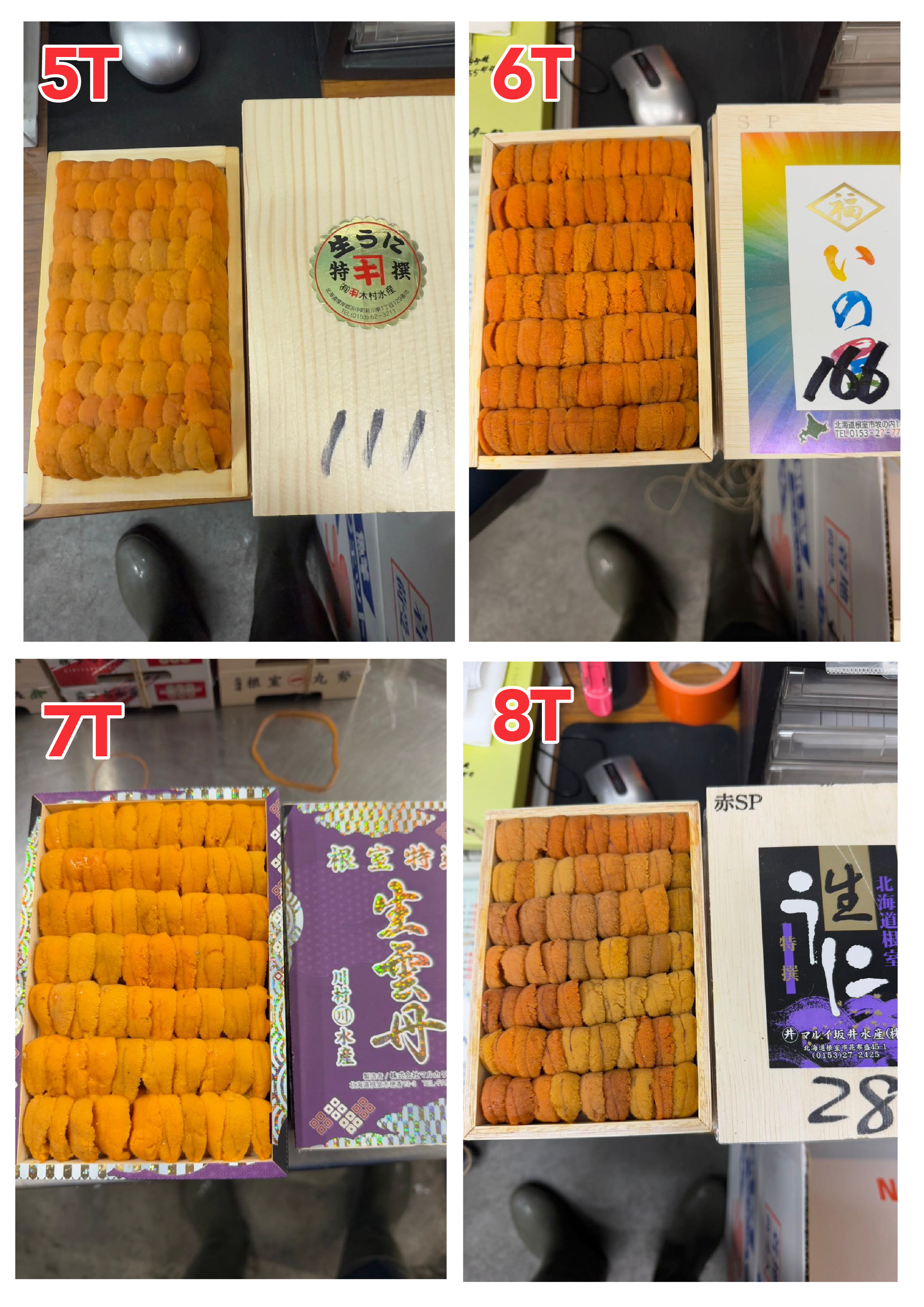 【指定海膽推薦】每天更新 (限即日落單, 翌日送)